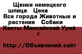 Щенки немецкого шпица › Цена ­ 20 000 - Все города Животные и растения » Собаки   . Ханты-Мансийский,Урай г.